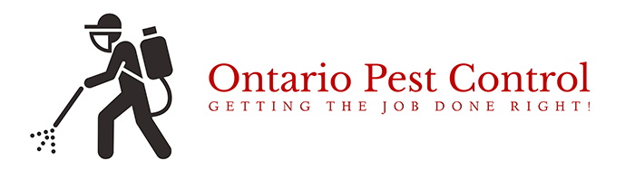 Ontario Pest Control